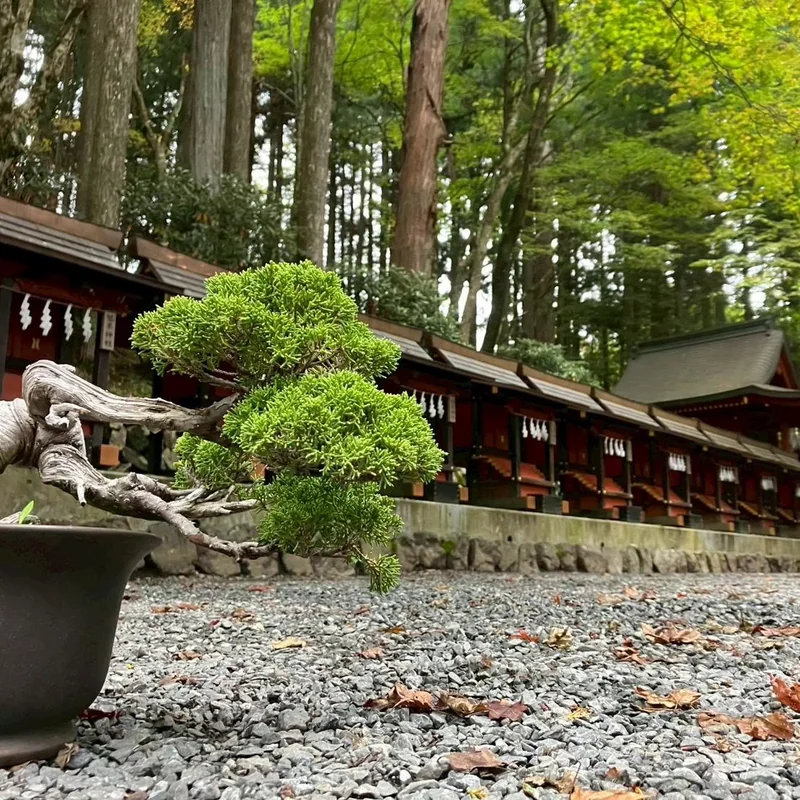 三峰神社の楼門