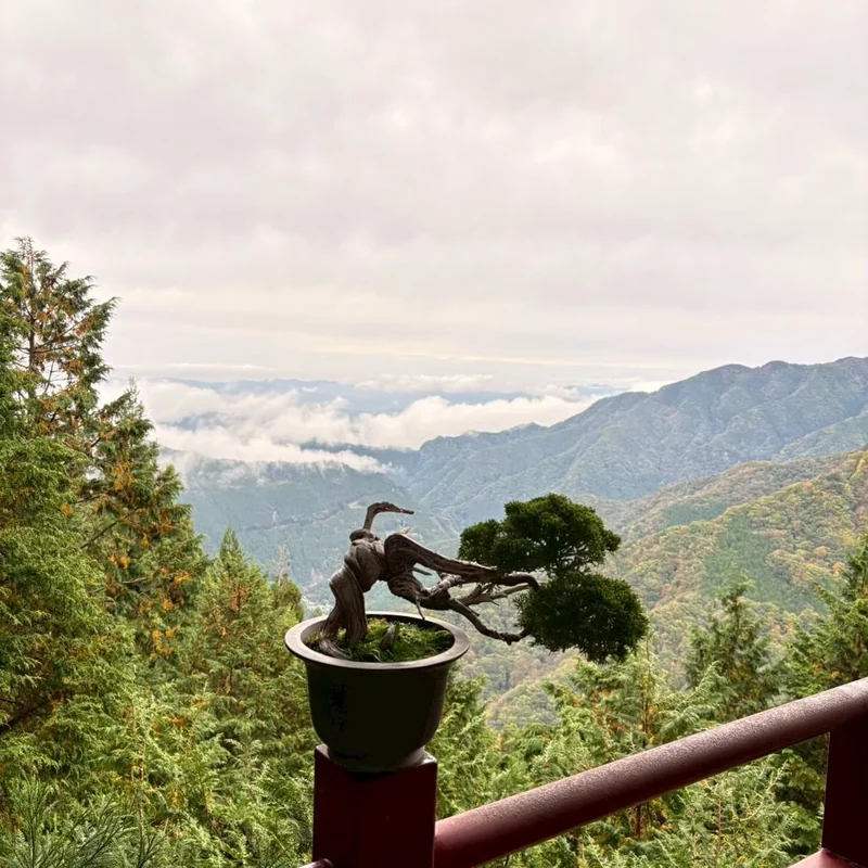 登山道を進む様子