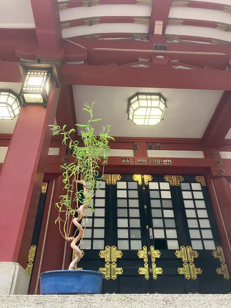 世田谷八幡宮の社殿前に据えた雲龍柳